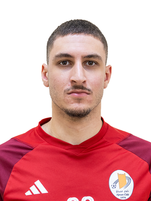 Mohamed Ehab Mohamed Elshabrawy