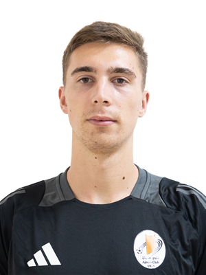Aleksandar  Vasiljevic